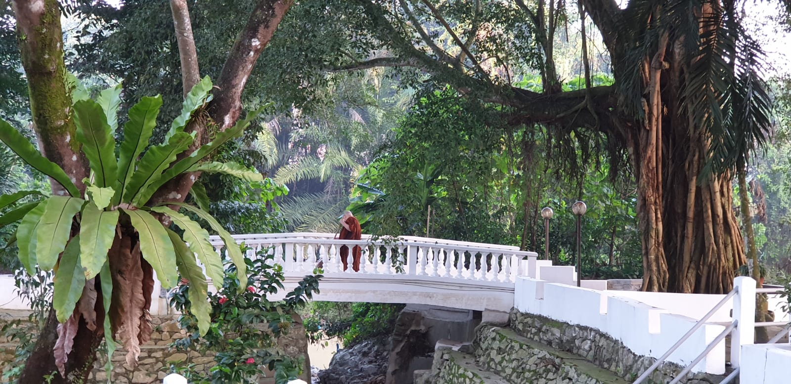 You are currently viewing Meditation Retreat 禅修营